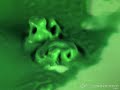 Non-newtonian fluid at 500fps