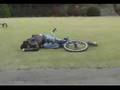Jackass Japan