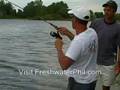 Summer time carp fishing in Ontario
