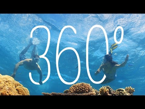Vlasoff Cay, Great Barrier Reef, Queensland, Australia | 360 Video | Tourism Australia - YouTube