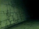 hellsing  rammstein