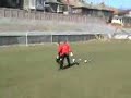 Lobont vs Romanovs