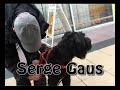 Bouvier as guide dog