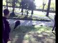 videos de Parkour Terni Passeggiata