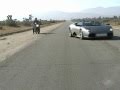 Vette vs Lambo vs Hayabusa