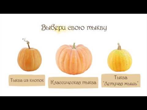 Как сделать тыкву видео