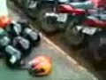 tar...taruga tar...taruga
