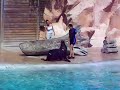 Zoo Amneville Spectacle otarie