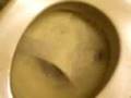 videos de BIG SHIT / Dünnpfiff