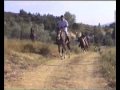 Passeggiata Equestre 2007 Passeggiata Equestre 2007