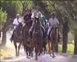 Passeggiata Equestre 2007