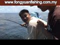 Giant grouper
