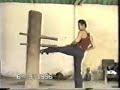 North Vietnam wingchun .