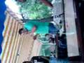 videos de zhuri
