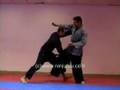 ninjutsu