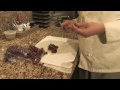 Cooking Techniques : How to Peel Grapes