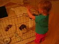 Baby Dog-Handler