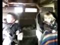 Babies love bumpy trunks.3g2
