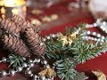 Auf Der Suche Nach Weihnachten - Rolf Zuckowski