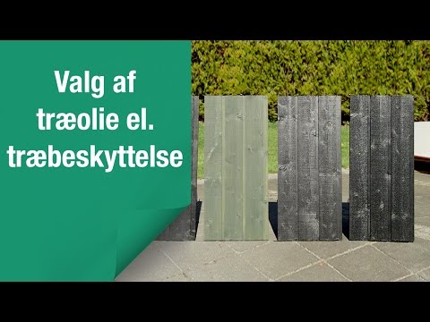 Video Title Video Alt