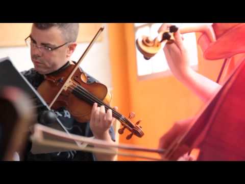 Falsalarma - Alquimia Instrumentales Falsalarma - Alquimia Instrumentales