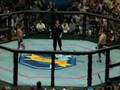 VITOR BELFORT PHENOM