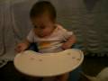 videos de FEEDING THE DOG