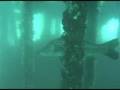 videos de Stuart Snook Dive Video