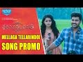 Mellaga Song Teaser | Shatamanam Bhavati