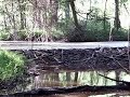 Tannerite beaver dam