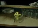 water bug tALK tEST ROACHTOPIA water bug tALK tEST ROACHTOPIA