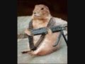 videos de nice pics