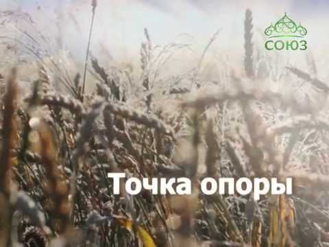 - Нефтекамская Епархия | Башкортостанская Митрополия Московский Патриархат - Нефтекамская Епархия | Башкортостанская Митрополия Московский Патриархат