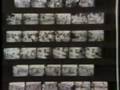 Garry Winogrand - Part 2