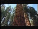 Globalnomad-nature-Passing thought-Enviromentality Globalnomad-nature-Passing thought-Enviromentality