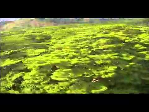 Aerial America Hawaii -
