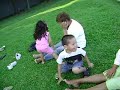 Mis pekes mordiendo Mis pekes mordiendo