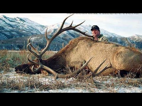 Statewide - Subscribe for new videos every Monday and Thursday: http://goo.gl/K1e8Q Ron Skoronski, the winning bidder of the 2003 statewide elk tag in Utah, hunts for se...