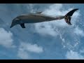 Calypso John Denver Jacques Cousteau