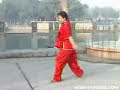 Second Dan Chang Quan