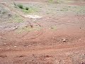 Mountain Bike Jumps - Ashgrove