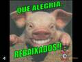 Foto v�deo