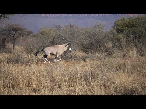 On & Off the Road Safari in Namibia