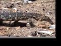 Sri 4 Part 2 People and Wildlife Sri 4 Part 2 People and Wildlife