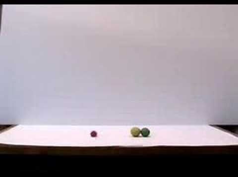 Katharine B's BALLSH