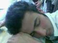 11 FENA EFAL