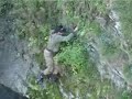 Un cadell s'ha vist atrapat en un penyasegat sobre el riu Llobregat al seu pas per sota el Pont Vell de La Pobla de Lillet. El seu amo l'ha pogut rescatar després de penes i treballs amb el soport de tota La Pobla.