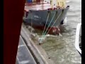 Docker Estivador Portugal 2