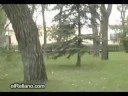 super back flip