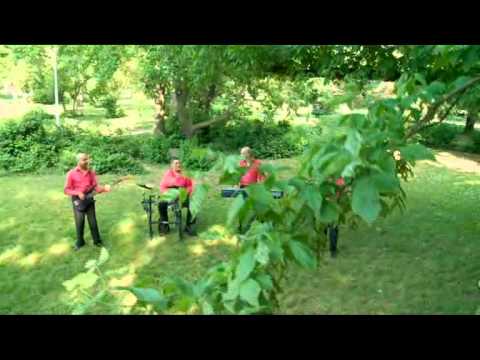 Youtube-videoupotus, klikkaa nähdäksesi!